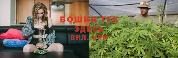 гидра Алзамай